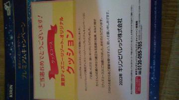 東京ディズニーリゾートオリジナルクッション