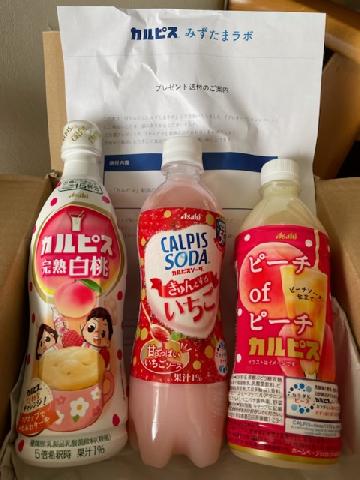 カルピス新商品詰め合わせ