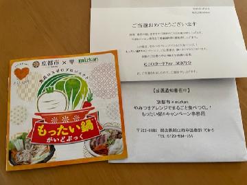 QUOカードPay 500円分