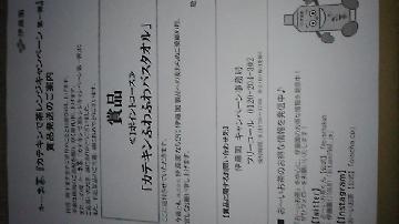 カテキンふわふわバスタオル