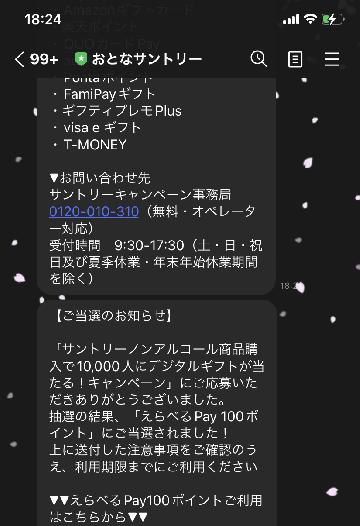 えらべるPay100ポイント