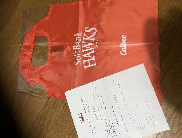 Ｗチャンス　折りたたみエコバッグ