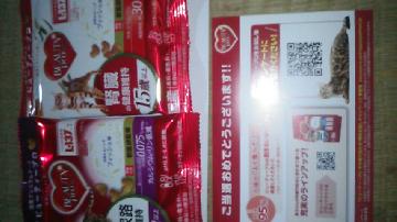 ビューティープロ サンプル