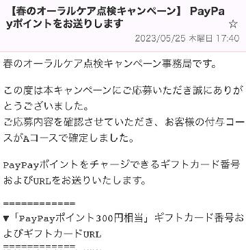 ・Aコース：PayPayポイント※300円相当