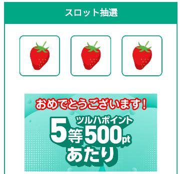 ツルハポイント