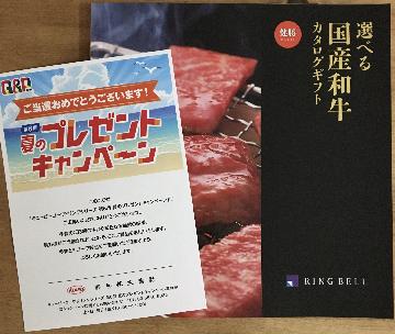 選べる国産牛カタログギフト