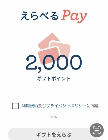 選べるpay 2,000円分