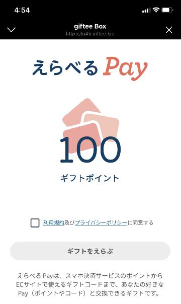 えらべるPay100ポイント