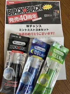 Wチャンス「ミントミスト3本セット」