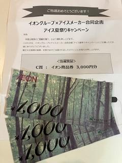 イオン商品券3,000円