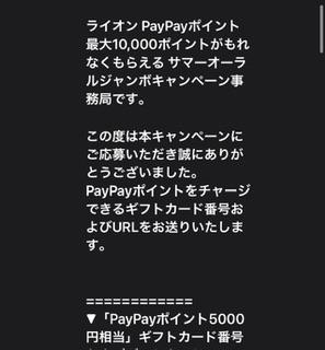 Pay Pay5,000円分