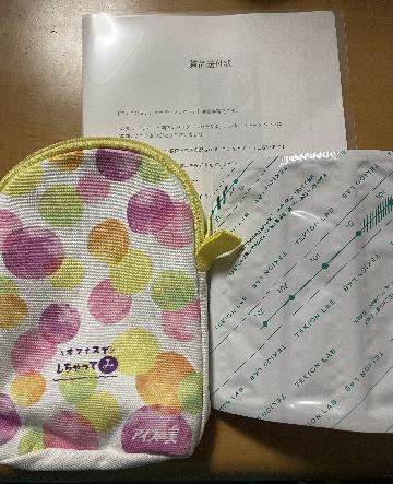 アイスの実オリジナルポーチ、保冷剤