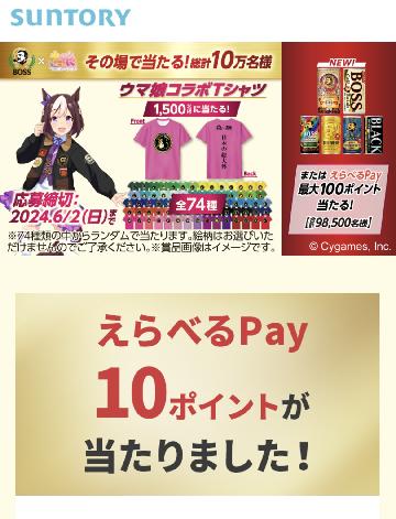 えらべるPay10ポイント