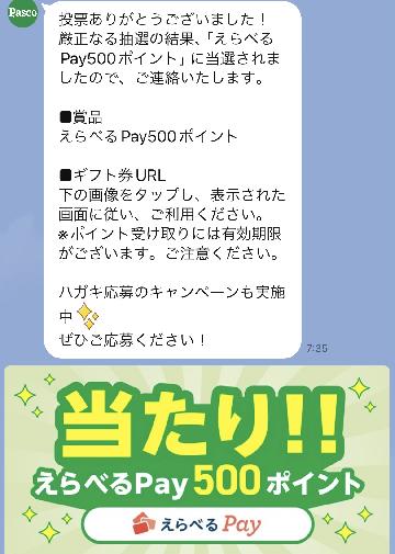えらべるPay500ポイント