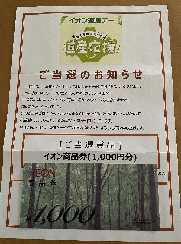 イオン商品券1,000円分