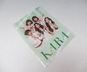 KARAオリジナルクリアファイル　全5種