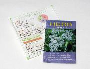 ハーブの種　全2種