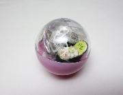 ビッくらポン！