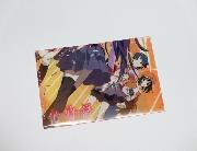 ローソン限定TVアニメ「化物語」「偽物語」オリジナルクリアファイル全5種