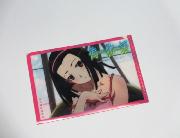 ローソン限定TVアニメ「化物語」「偽物語」オリジナルクリアファイル全5種