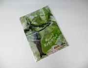 サークルKサンクス限定戦国BASARAクリアファイル全6種