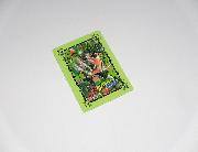 「ジョジョ25周年」メモリアルカード全40種