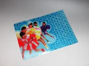 セブン-イレブン限定ももいろクローバーＺキラキラマジックファイル全2種