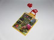 こびとづかんおでかけポーチ全4種