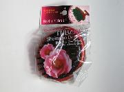 椿シャンプーブラシ