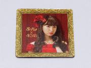 AKB48ぷっちょ袋とじスペシャルマグネット全12種