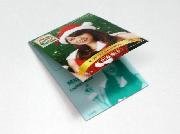 セブン-イレブン限定　AKB48オリジナルふせん　全10種