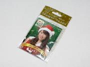 セブン-イレブン限定　AKB48オリジナルふせん　全10種