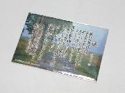 相田みつを応援カード全8種