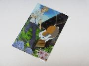 「夏目友人帳」クリアファイル全10種