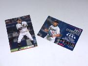 2013プロ野球チップス第1弾カード