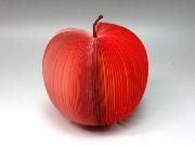 リンゴ立体メモ