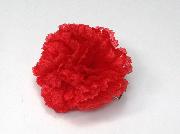 カーネーションクリップ