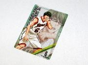 ボイコレプラカード全26種