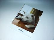 お父さんクリアファイル