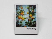 フォトマグネット全12種