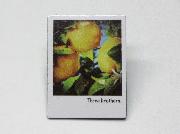 フォトマグネット全12種