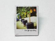 フォトマグネット全12種