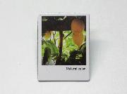 フォトマグネット全12種