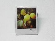 フォトマグネット全12種