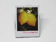 フォトマグネット全12種