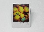 フォトマグネット全12種