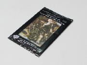 ライトニングリターンズ　ファイナルファンタジーⅧオリジナルカード全10種