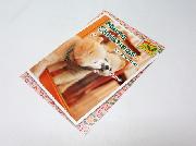 俊介くんのオリジナルクリスマスポストカード全5種