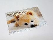 俊介くんのオリジナルクリスマスポストカード全5種