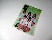 SKE48・HKT48オリジナルクリアファイル全4種